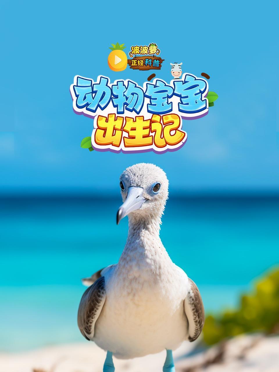 波波萝正经科普动物宝宝出生记