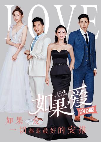 如果爱 DVD版