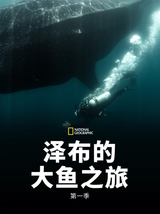 泽布的大鱼之旅1