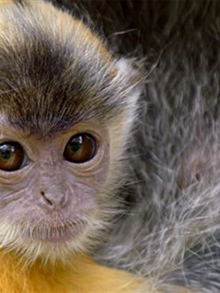 波多野结衣作品