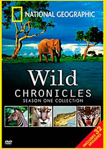 德扑女王2：双面鬼王